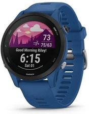 Garmin Forerunner 255